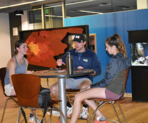 Pre-Professional Health Society hosts game night social