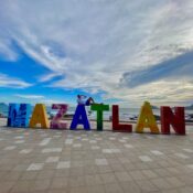 The challenges of learning a second language in college during a pandemic