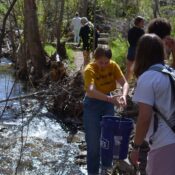 Climate change, education system are priorities for young adults, according to Forum survey