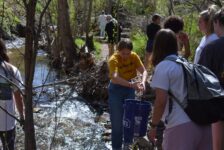 Climate change, education system are priorities for young adults, according to Forum survey