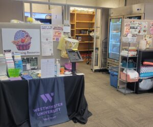 Wide-shot of the Purple Basket shows a table with housing resource information in the form of pamphlets and fliers. Semi-empty shelves line the back wall and a refrigerator stands to the right side against the wall.